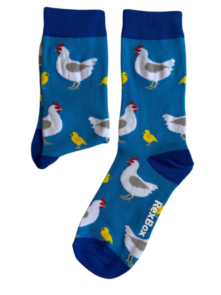 Höns och kycklingar på fötterna – kluckande mys i varje steg! 🐔🐥👣